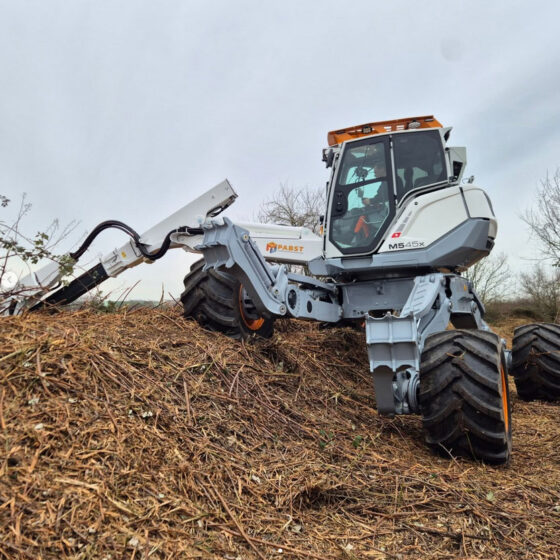 Schreitbagger Pabst Mulcharbeiten